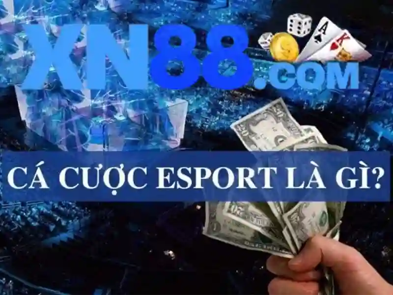 Các trò chơi và tính năng nổi bật\n\n