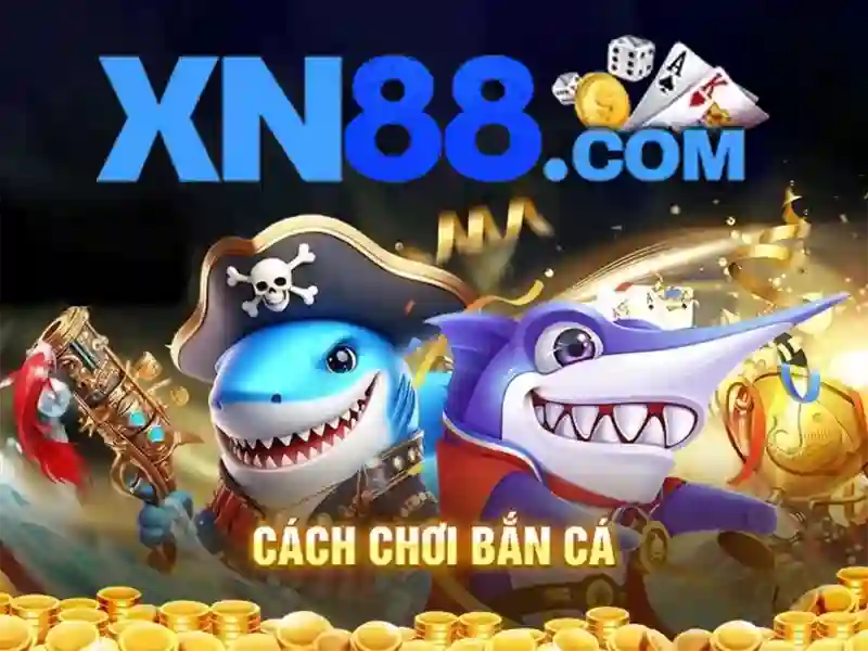 Điều kiện và pháp lý\n
