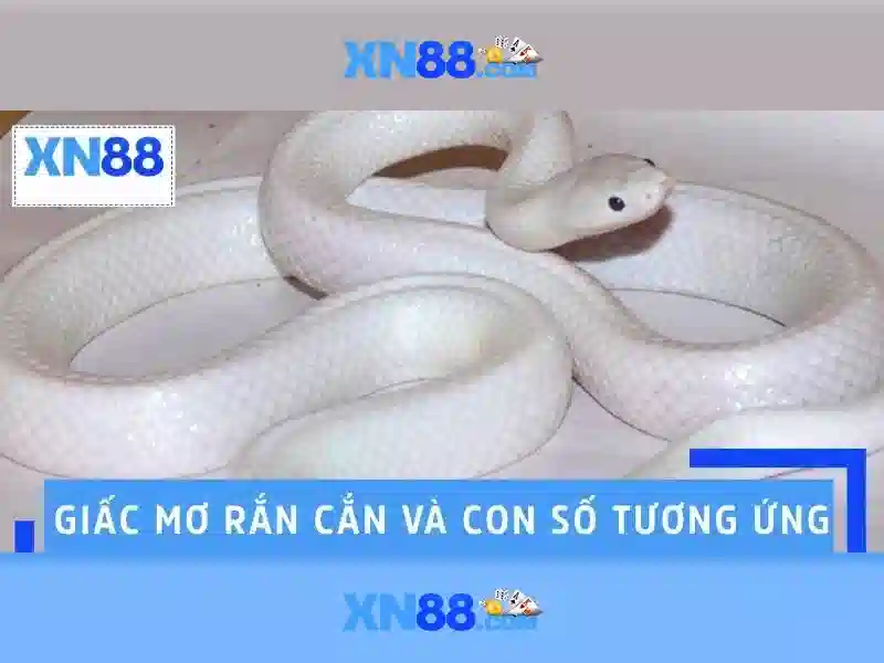 Phản hồi người dùng xn88 còn