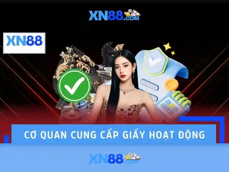 Giao diện và trải nghiệm người dùng