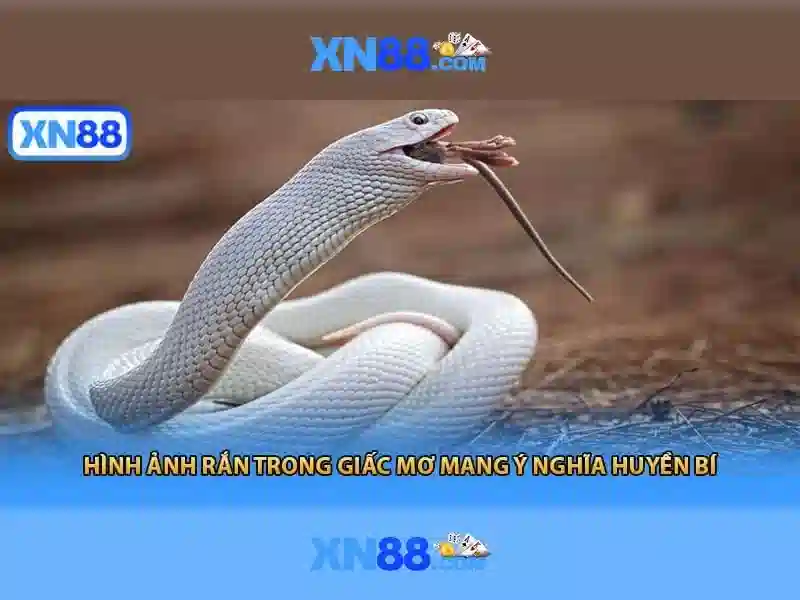 XN88 là gì và những điểm nổi bật