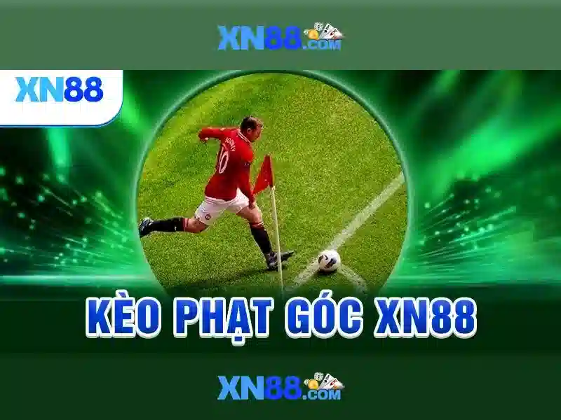 phản hồi người dùng về xn88 c\n