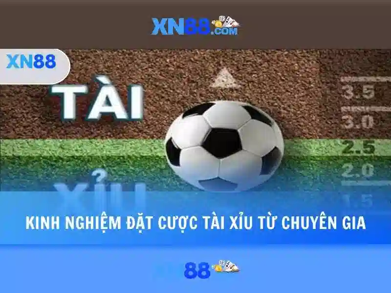Gioi thieu xn88: san ca cuoc dien tu uy tin va an toan