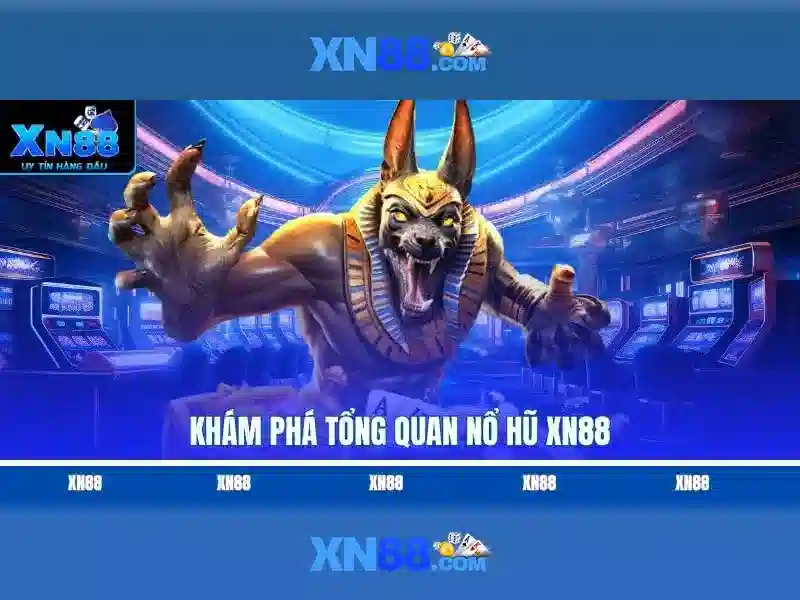 xn88 là gì và tại sao nó nổi bật