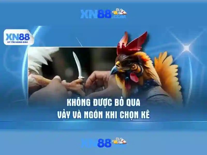 xn88: Khái niệm, nguồn gốc và ứng dụng