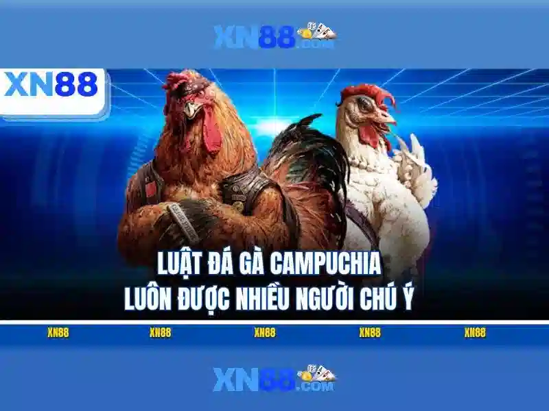 Đặc trưng và giao diện