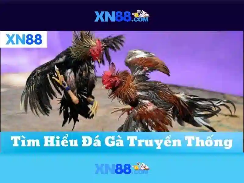 Các thể loại trò chơi có trên xn88\n