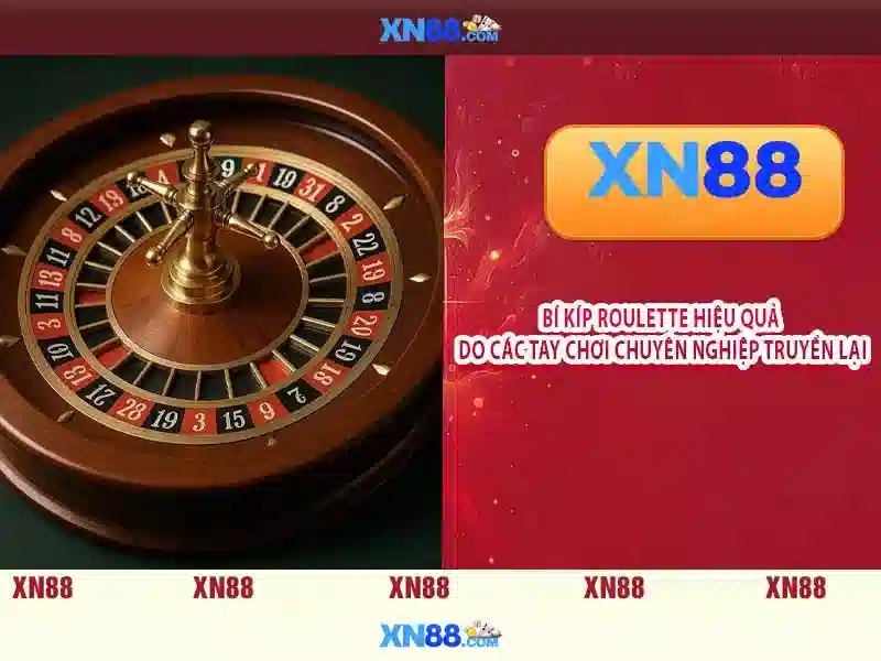 Xn88 là gì và tại sao được người dùng tin tưởng
