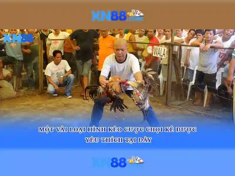 Hỗ trợ người dùng