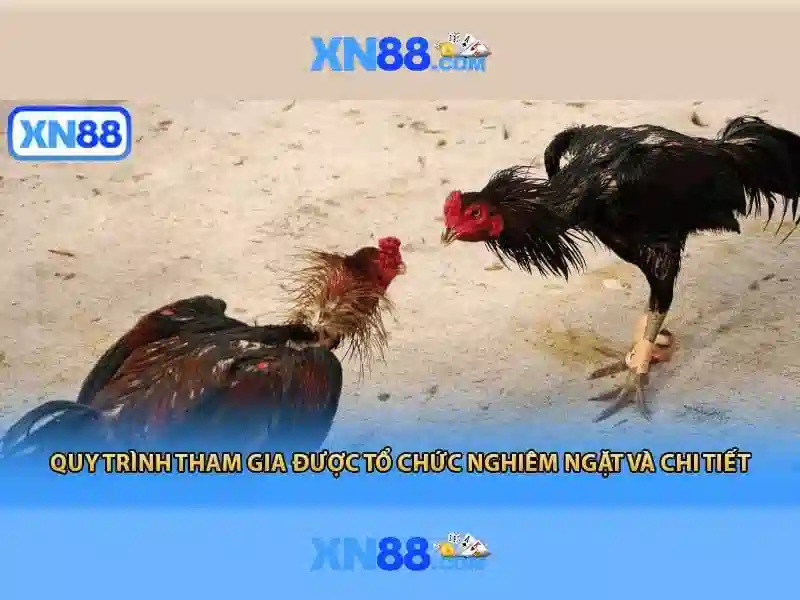 xn88 là gì? Khái quát về một nền tảng giải trí trực tuyến