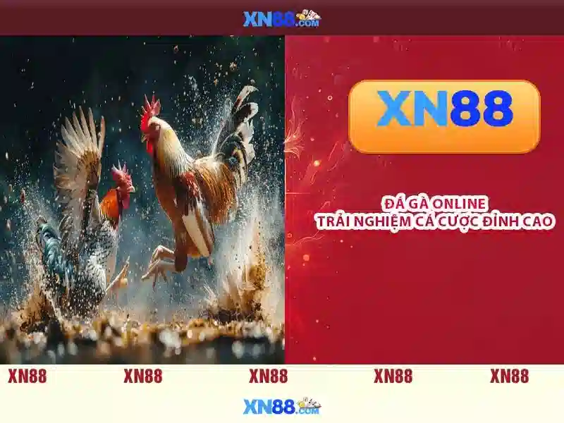 Các đặc điểm nổi bật của xn88