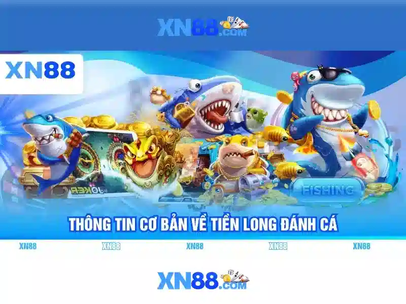 XN88: Nền tảng cá cược và trò chơi trực tuyến hàng đầu