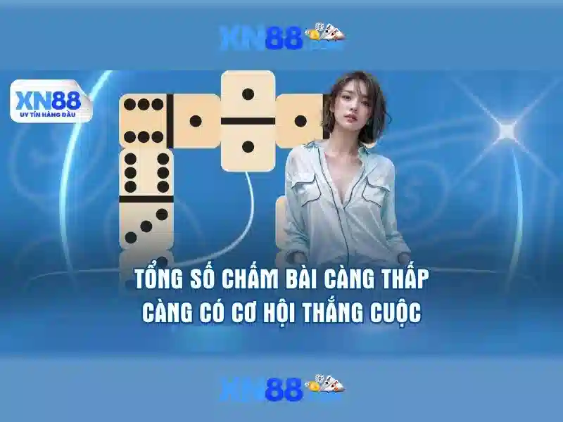 Hỗ trợ khách hàng và phương thức thanh toán