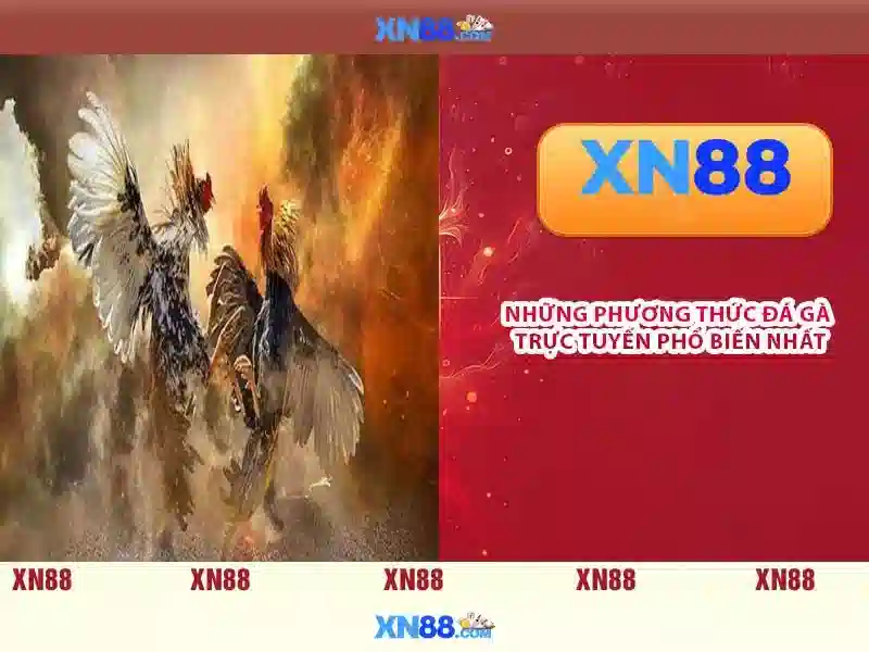 Đặc điểm nổi bật\n