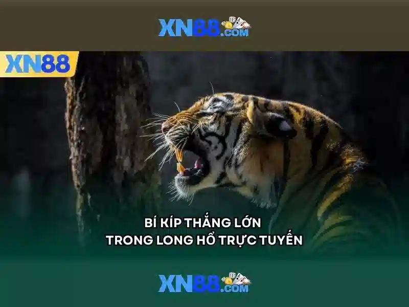 XN88: Trai nghiem choi truc tuyen an toan va giai tri
