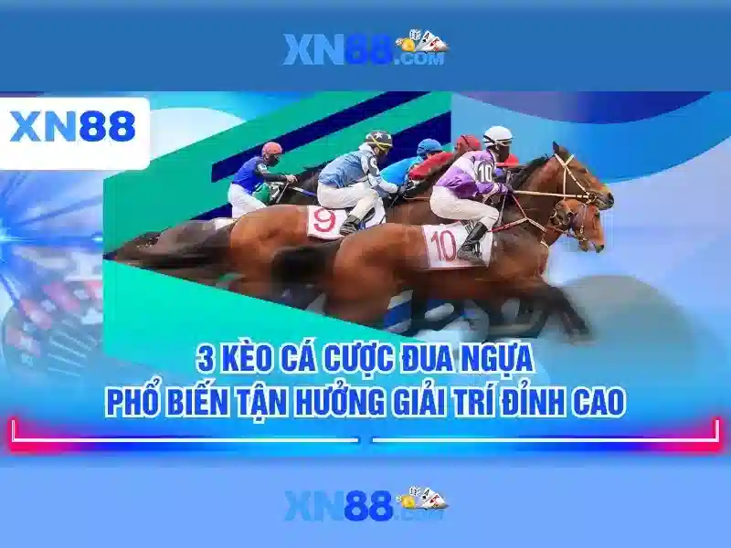 Lịch sử và định hướng