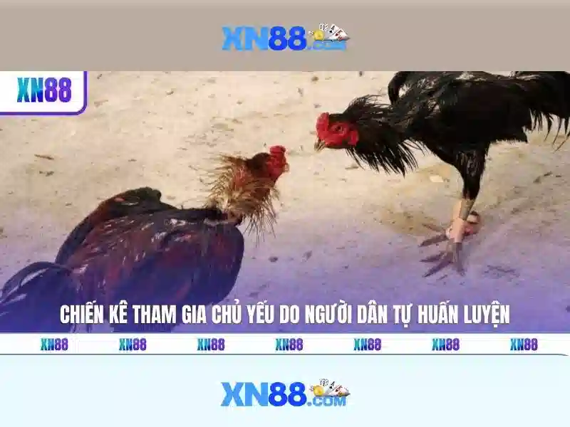 xn88 - Tổng quan và hướng dẫn ngắn