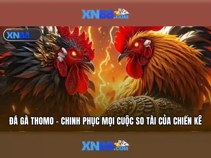 xn88 chính thức – tổng quan chủ đề và giá trị cốt lõi