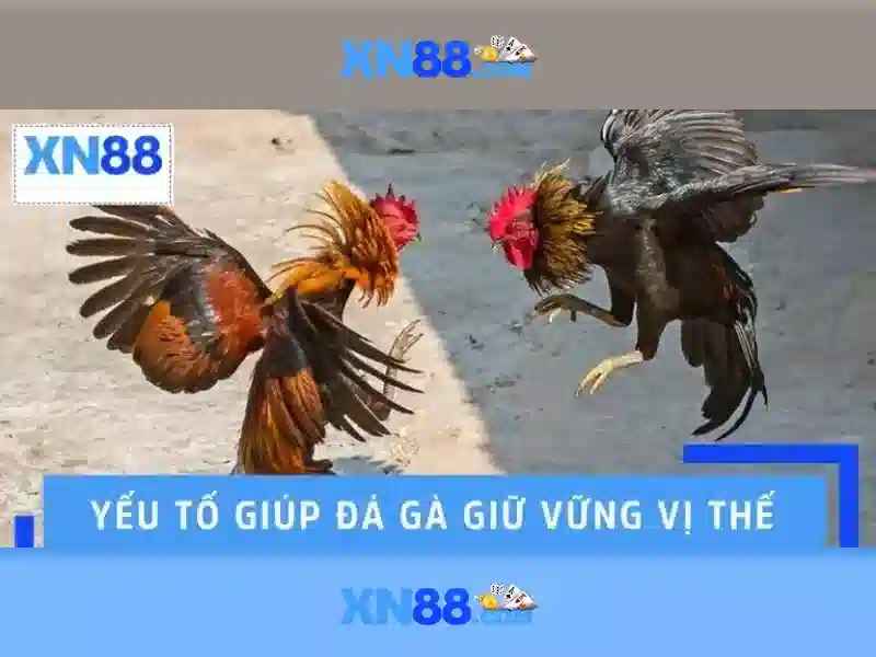  xn88 còn – Tổng quan chủ đề và giá trị cốt lõi