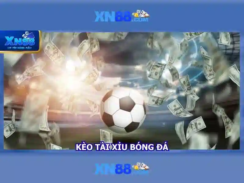 Giới thiệu về xn88
