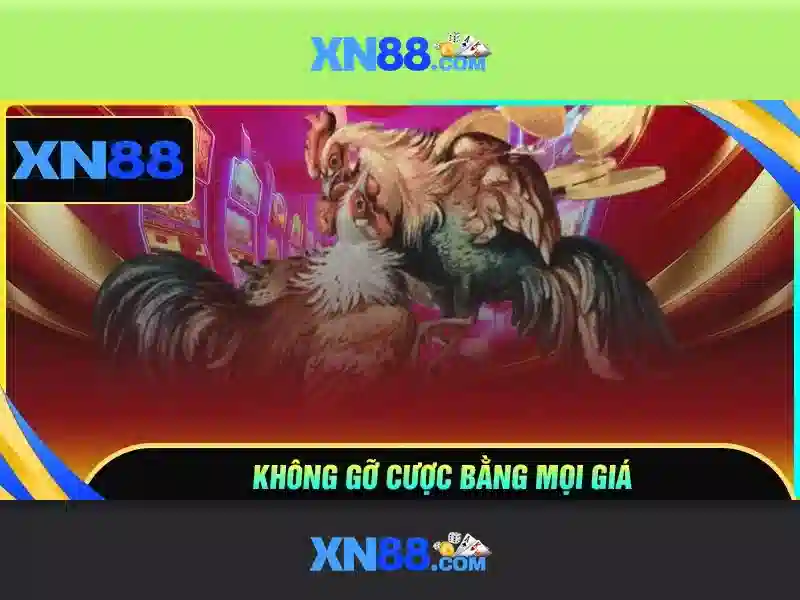 xn88: một nền tảng giải trí trực tuyến