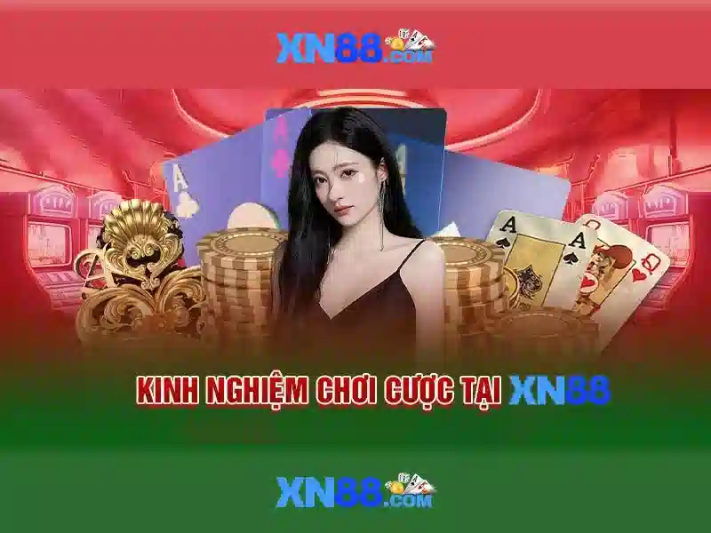 Tổng quan về xn88