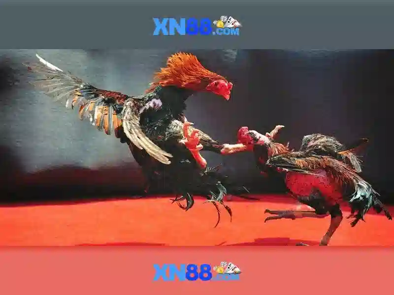 xn88: Tổng quan và hướng dẫn