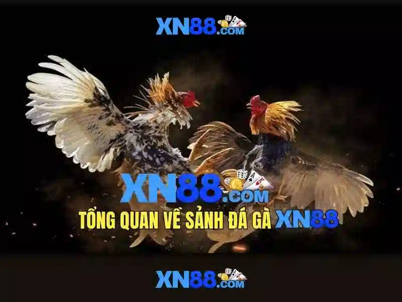 Lịch sử và nguồn gốc của xn88