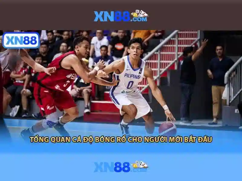 Trải nghiệm người dùng và tính năng