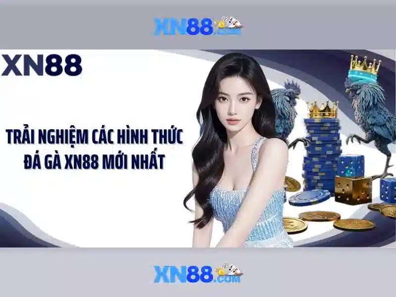 xn88: Nền tảng cược trực tuyến đáng chú ý