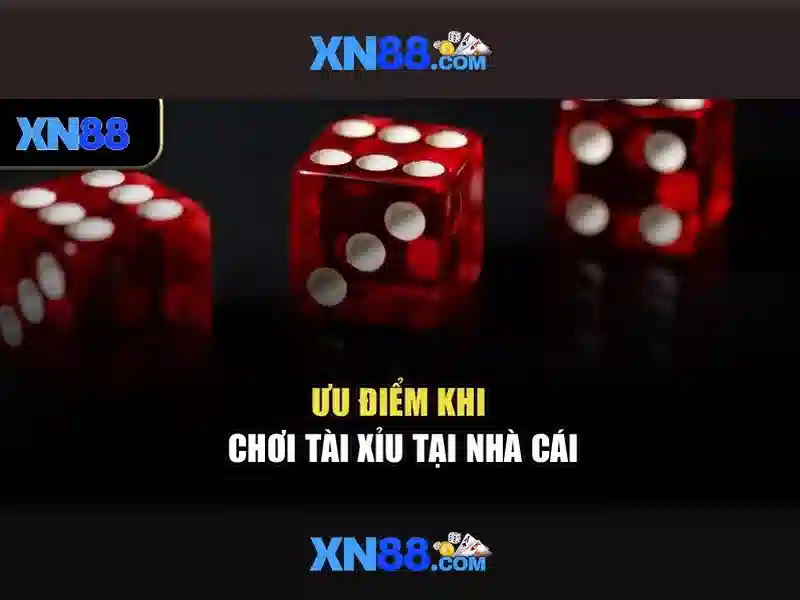 Giới thiệu về xn88