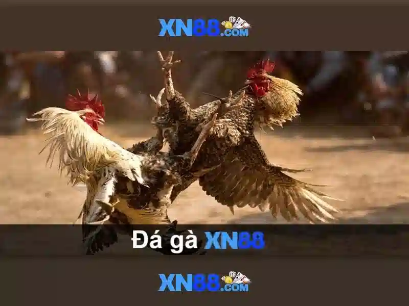 Danh sách trò chơi có sẵn