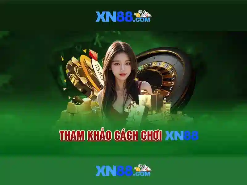 Nền tảng và chức năng\n\n