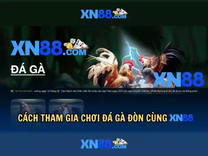 XN88: Nền tảng cược và giải trí trực tuyến