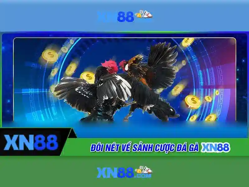 XN88: Nền tảng đánh bạc trực tuyến an toàn và tiện ích