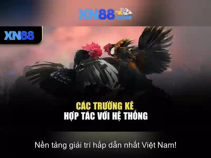 Giới thiệu về xn88