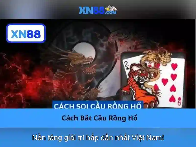 Các sản phẩm chính của XN88