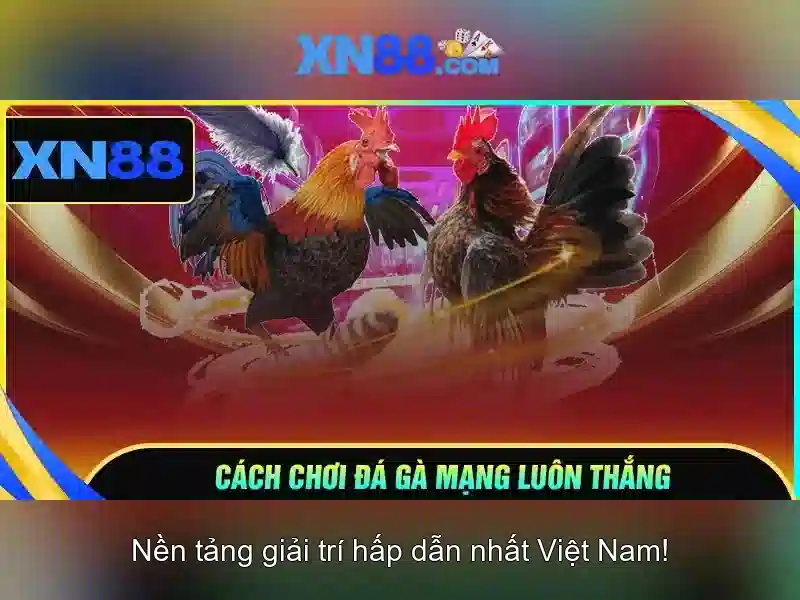 An toàn và bảo mật\n\n