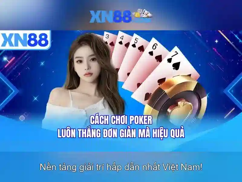 Nền tảng và lịch sử\n