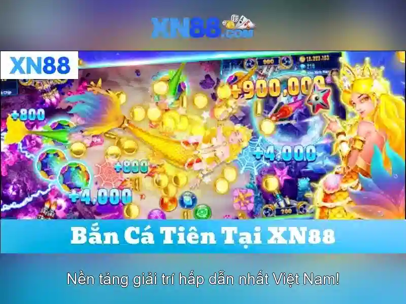 Tính năng và trải nghiệm người dùng\n