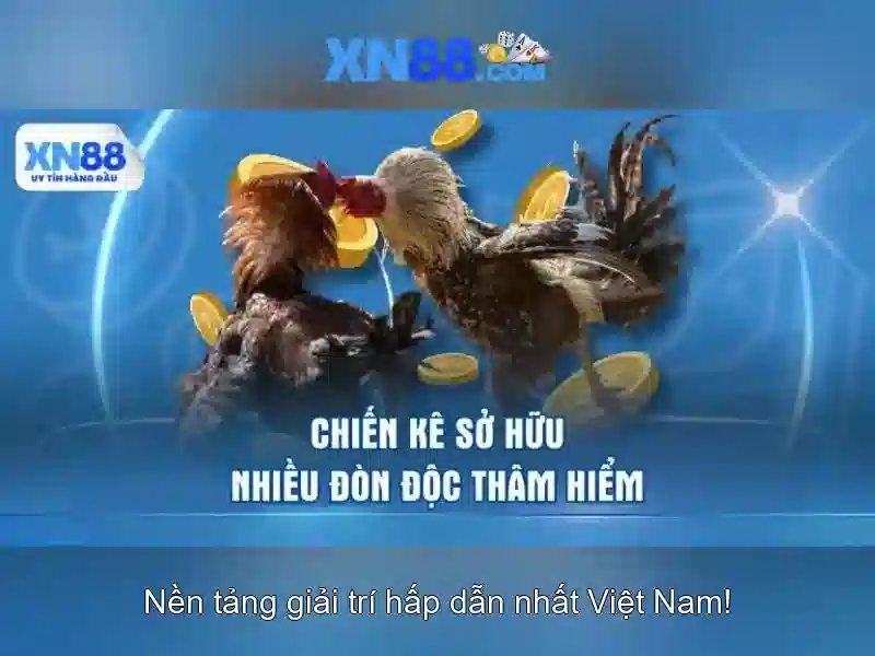 Đánh giá từ cộng đồng
