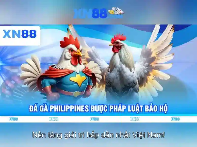 Giới thiệu về xn88