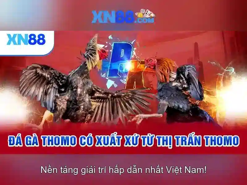 xn88 – Tổng quan về nền tảng giải trí và cá cược trực tuyến