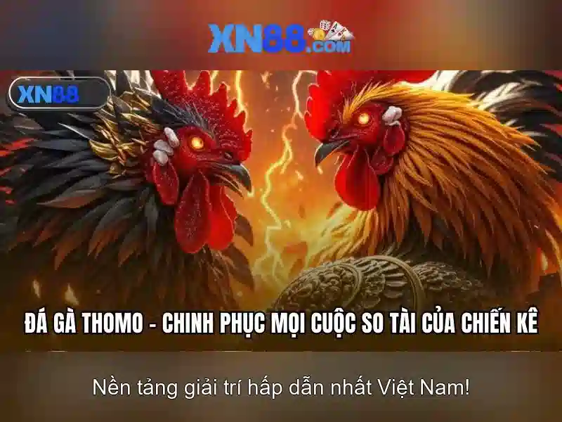 Các tính năng nổi bật