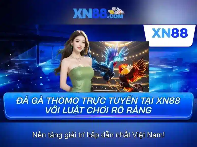 xn88: Tổng quan và trải nghiệm nền tảng chơi game trực tuyến