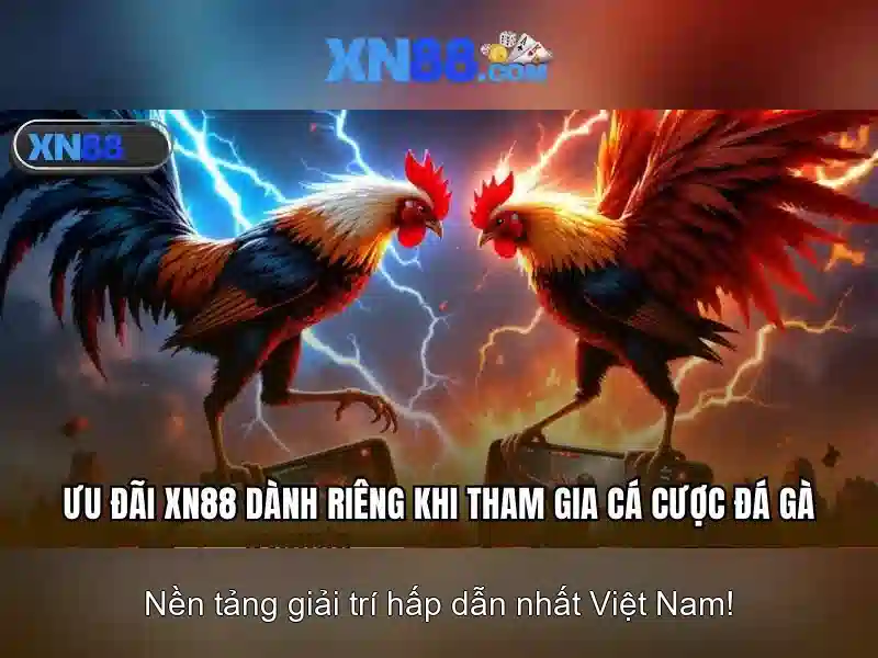 Các tính năng nổi bật của xn88