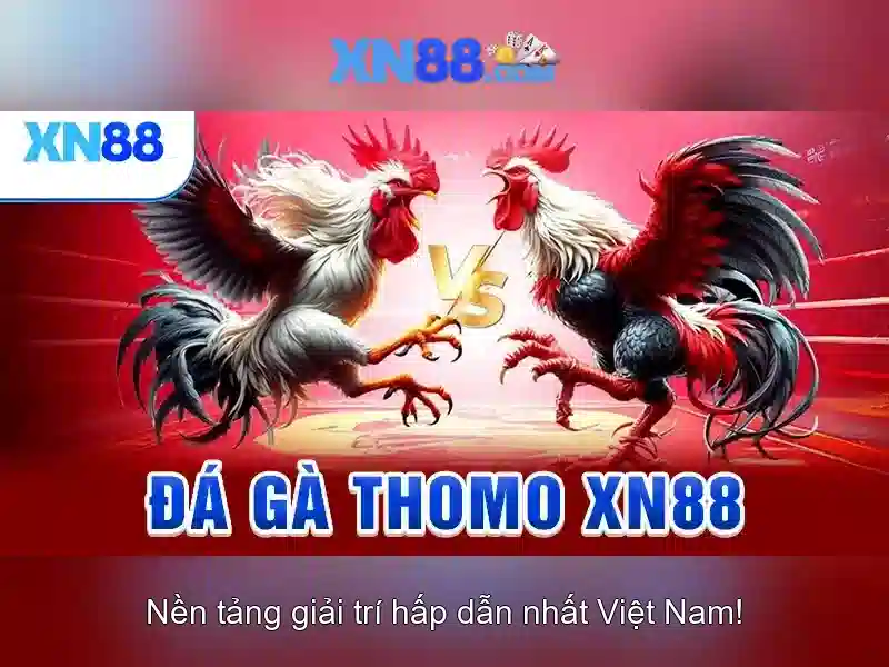 Giới thiệu về xn88