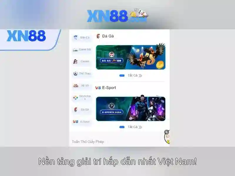Chinh sach khuyen mai va huong dan choi