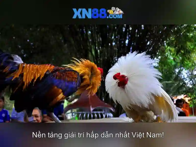 Bảo mật và công bằng