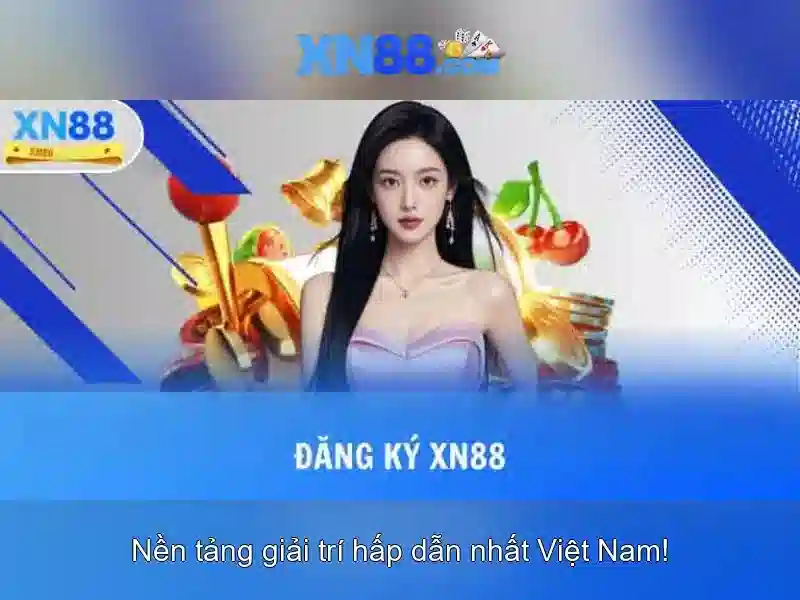 Trải nghiệm người dùng và phản hồi cộng đồng